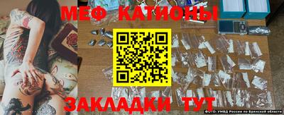 мдпв Кингисепп