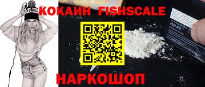 мдпв Кингисепп