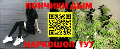 мдпв Кингисепп