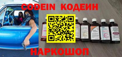 мдпв Кингисепп