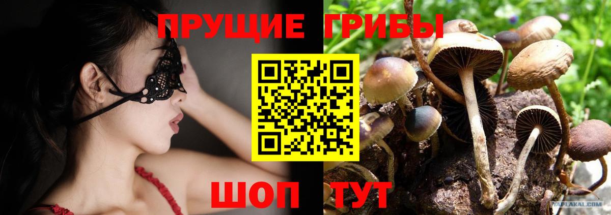 Псилоцибиновые грибы Magic Shrooms Геленджик
